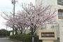 中学校　播磨南中学校（中学校）まで779m