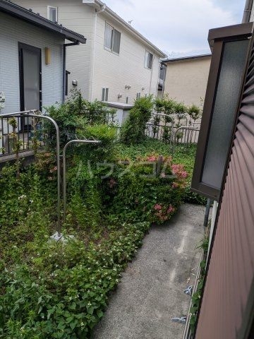庭