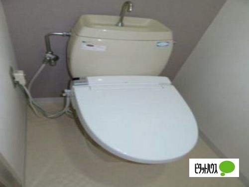 山陽電鉄本線 東二見駅 徒歩13分 8階建 築37年のトイレ写真