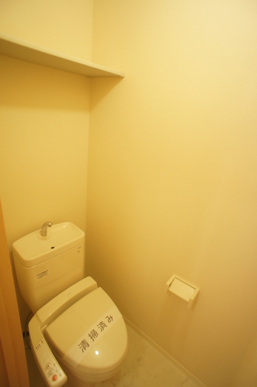 上毛電鉄 心臓血管センター駅 徒歩72分 2階建 築17年のトイレ写真