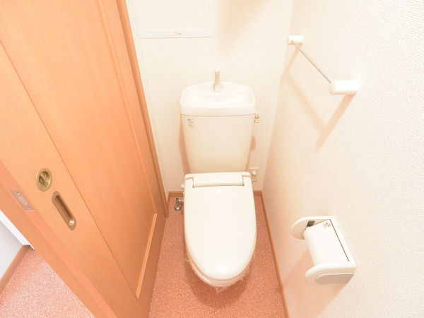 プラシード・ピアッツアA棟のトイレ写真