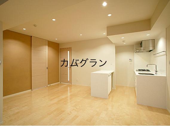 カスタリア麻布十番の居間写真