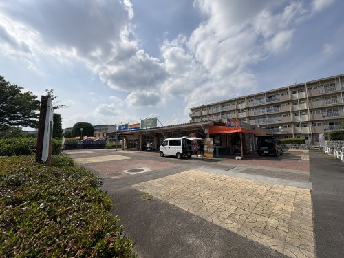 その他　ビックエー東大和芝中団地店（その他）まで313m