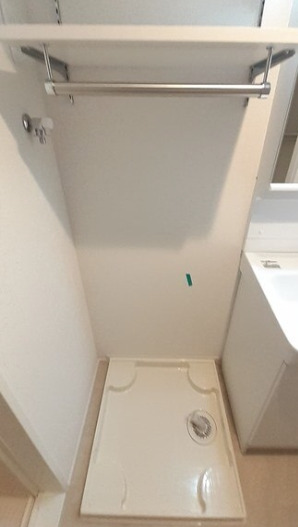 その他　エピーメロン亀青