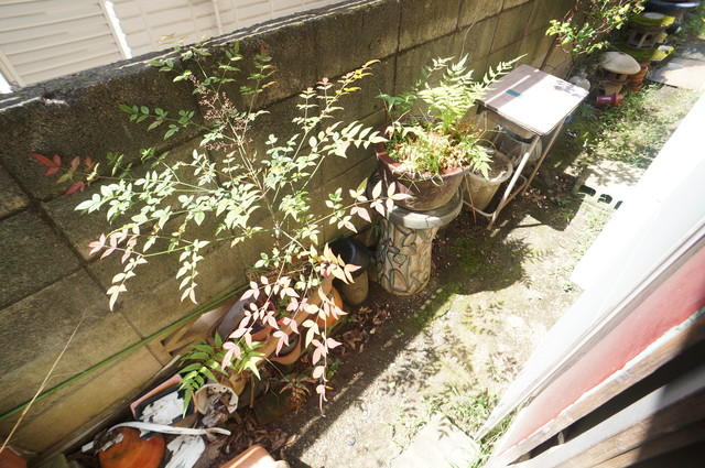 眺望　お部屋からの景色です♪圧迫感はありません！