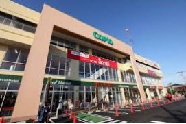 スーパー　スーパーアルプス羽村店（スーパー）まで747m