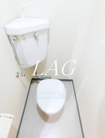 トイレ　トイレです。（同仕様です。）