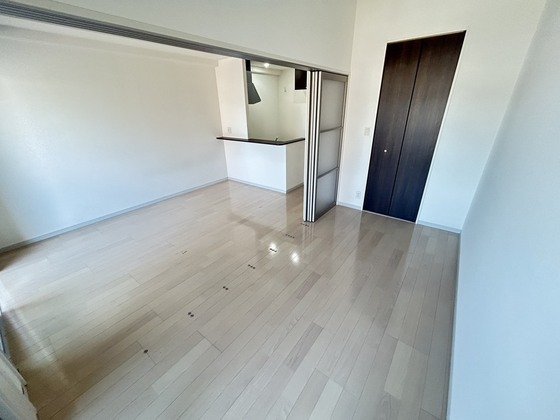 居室・リビング　※別号室の写真です