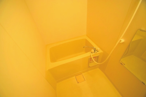 バス・シャワールーム　現況と異なる場合は現況優先となります。