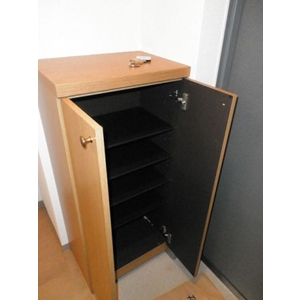 玄関　※別部屋の写真となります。