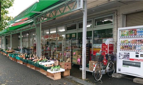 スーパー　C&Cタジマヤ千葉東支店（スーパー）まで257m