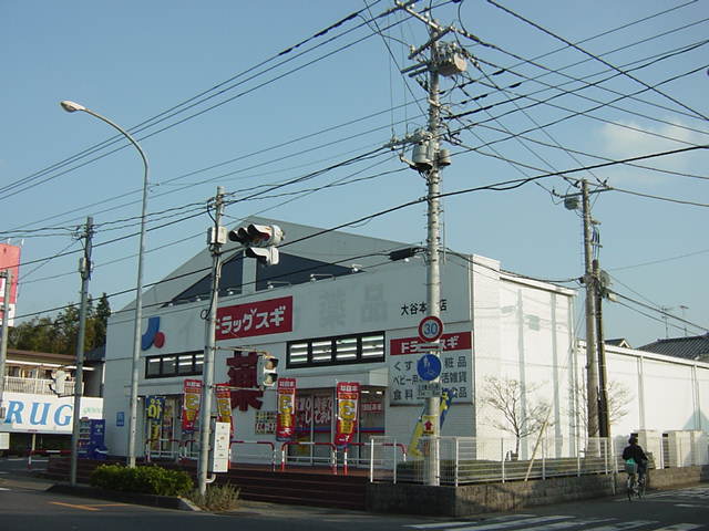 その他　ドラッグスギ大谷本郷店（その他）まで1500m