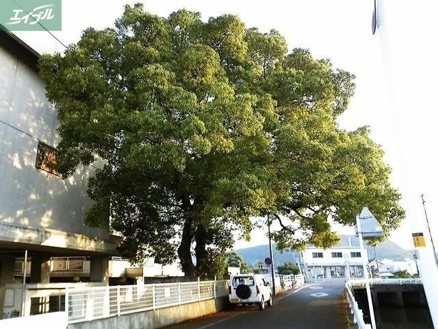 小学校　岡山市立雄神小学校（小学校）まで1013m
