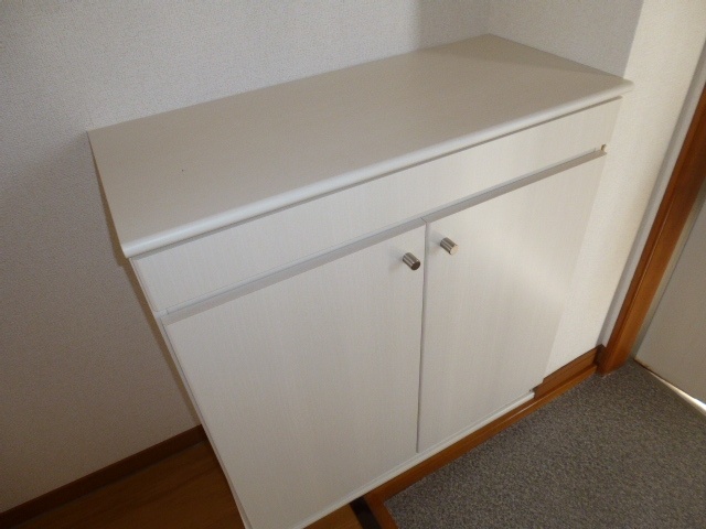 玄関　シューズボックス