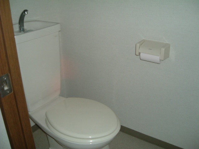 サーパスシティ高知IIのトイレ写真