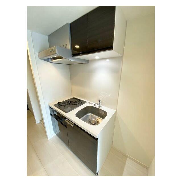 プロスタイルウェルス横浜天王町SHOKEN Residence(プロスのキッチン写真
