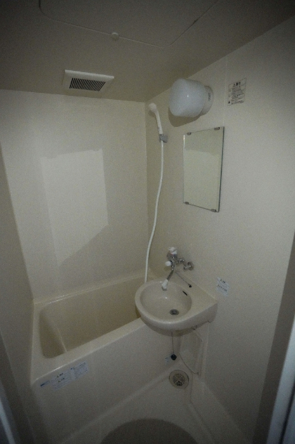 バス・シャワールーム　同じ建物の別なお部屋