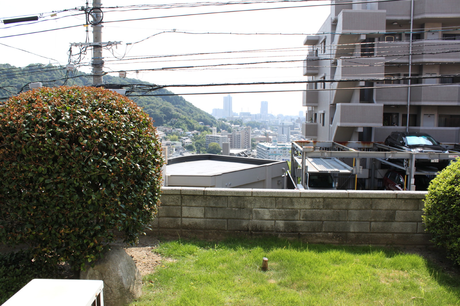 庭