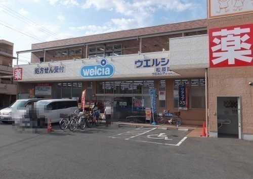ドラックストア　ウエルシア松原岡店（ドラッグストア）まで786m