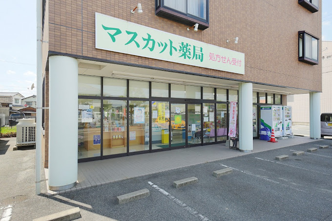 ドラックストア　マスカット薬局総社店（ドラッグストア）まで388m
