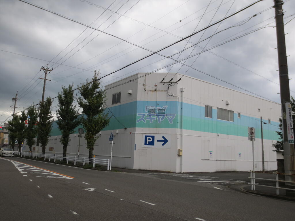 ドラックストア　ドラッグスギヤマ住吉店（ドラッグストア）まで317m