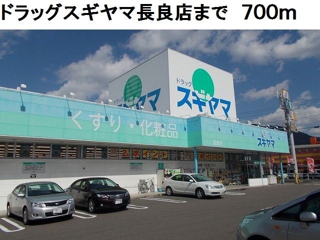 ドラックストア　ドラッグスギヤマ長良店（ドラッグストア）まで700m
