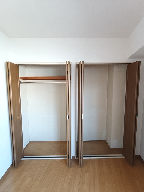 収納　居室収納2つ