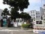 小学校　高知市立第六小学校（小学校）まで59m