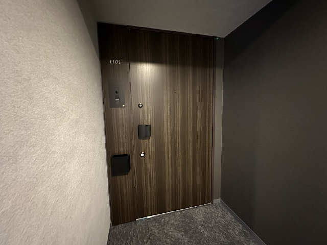 玄関　同マンション同型・別号室を撮影
