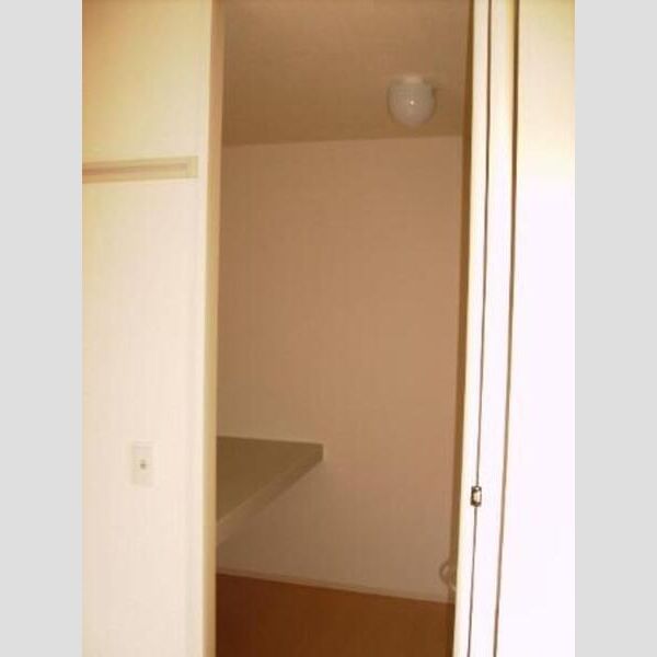 収納　ウォークインクローゼット