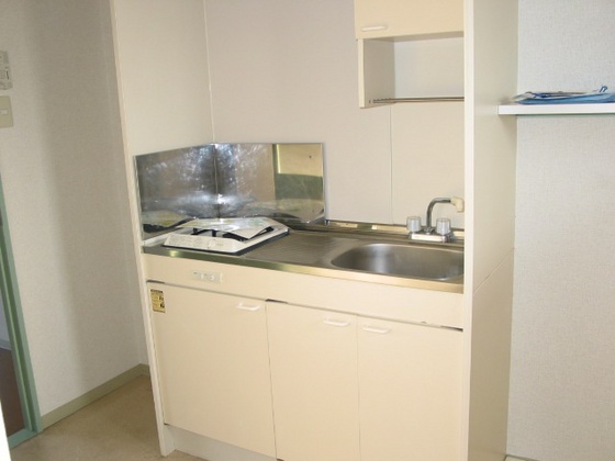 キッチン　他号室のお写真です