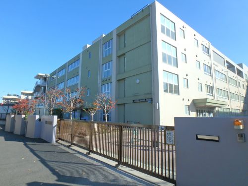 小学校　川崎市立東高津小学校（小学校）まで560m