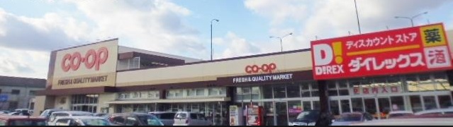 ショッピングセンター　ダイレックス 総社東店（ショッピングセンター）まで323m