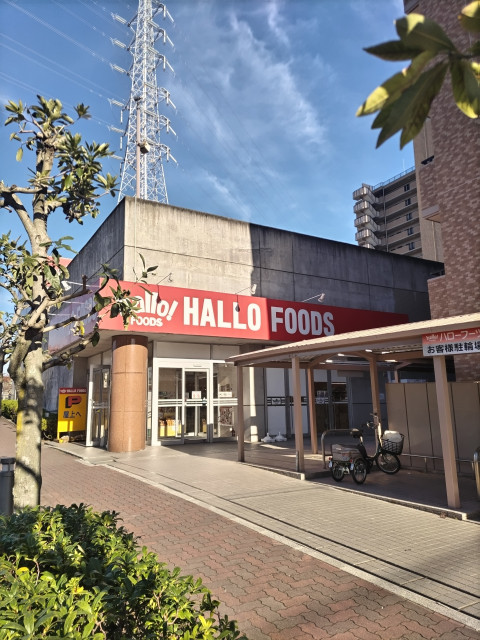 スーパー　ハローフーヅ天白店（スーパー）まで550m