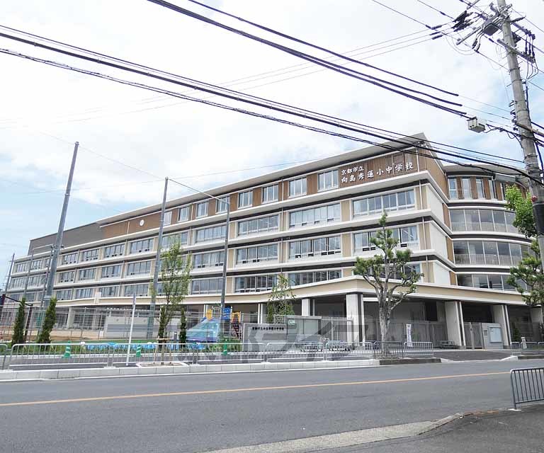 小学校　京都市立向島秀蓮小中学校（小学校）まで374m
