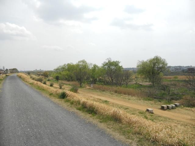 その他　多摩川河川敷（その他）まで250m