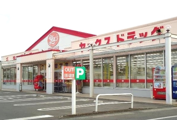 ドラックストア　ヤックスドラッグ 横田店（ドラッグストア）まで300m