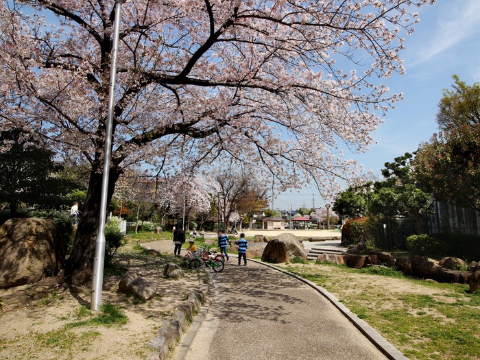 公園　久保公園（公園）まで608m