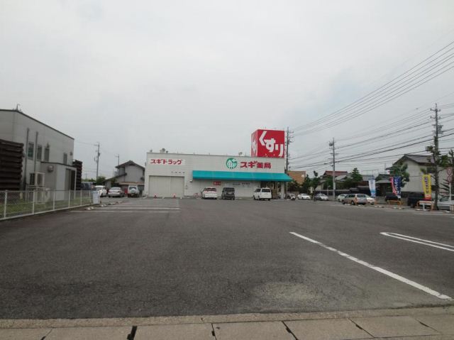 ドラックストア　スギ薬局（ドラッグストア）まで1100m