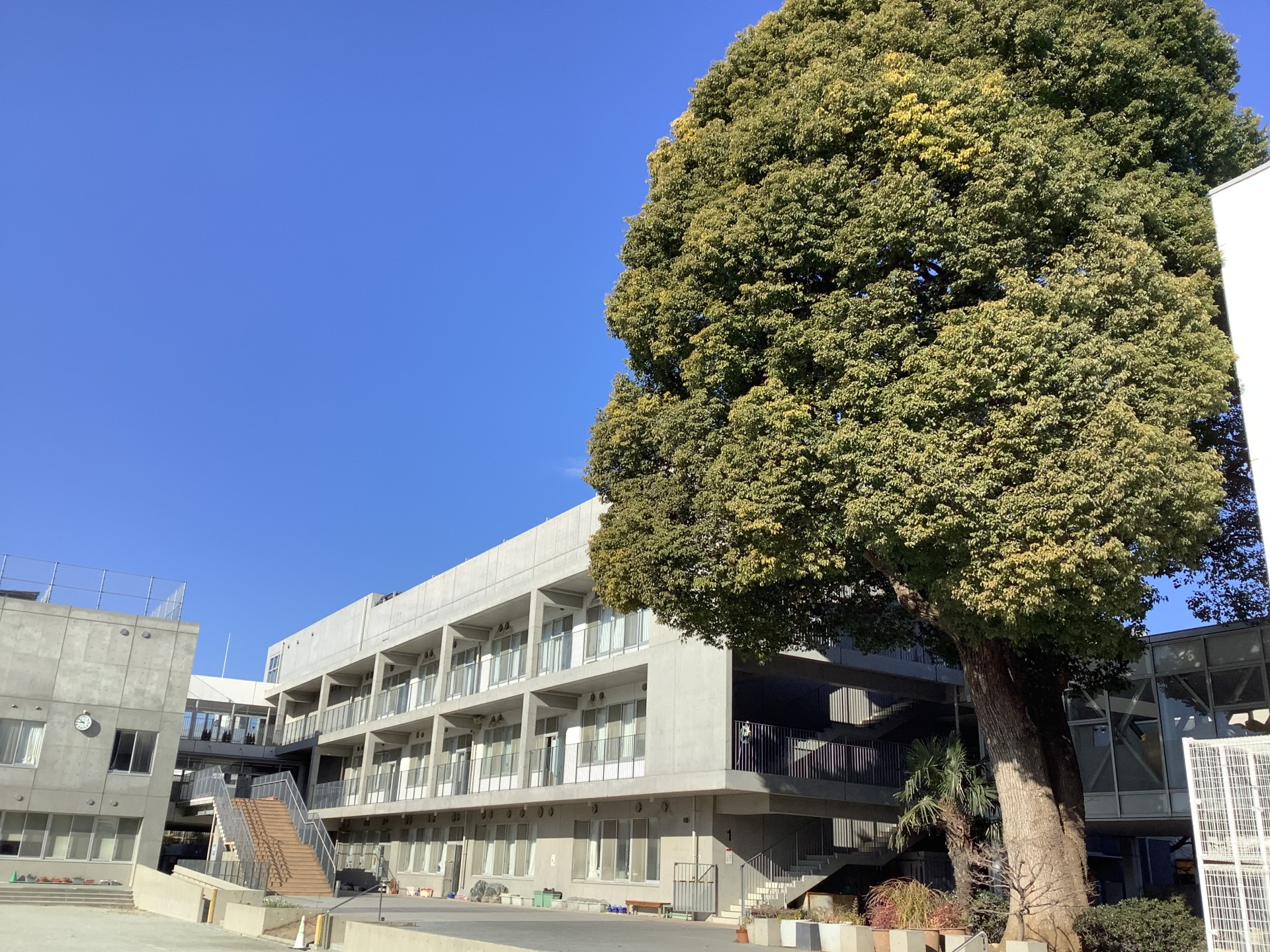 小学校　世田谷区立松沢小学校（小学校）まで867m