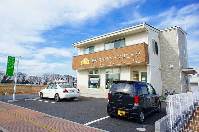 病院　あかつきペットクリニック（病院）まで800m