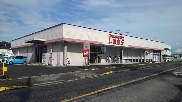 その他　しまむらまで1900m