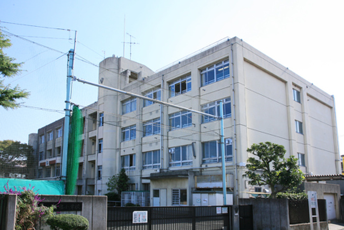 小学校　川崎市立苅宿小学校（小学校）まで220m