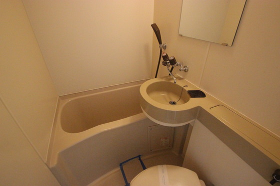 バス・シャワールーム　※別部屋の写真です