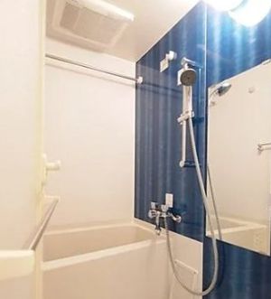 バス・シャワールーム　コンパクトで使いやすいお風呂です