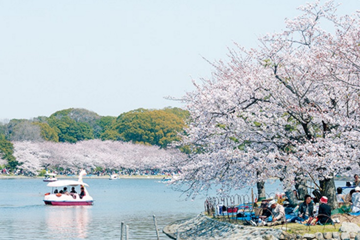 公園　明石公園（公園）まで1185m