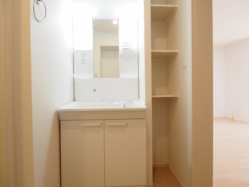 洗面設備　シャワー付きの独立洗面台です。