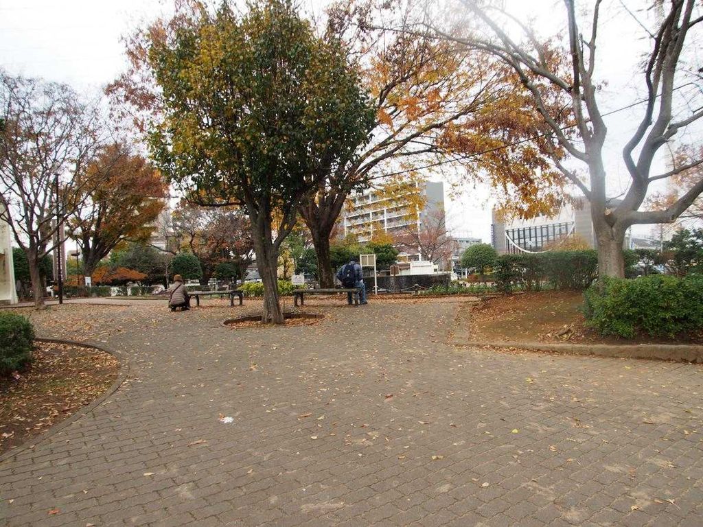 公園　天沼弁天池公園（公園）まで1330m