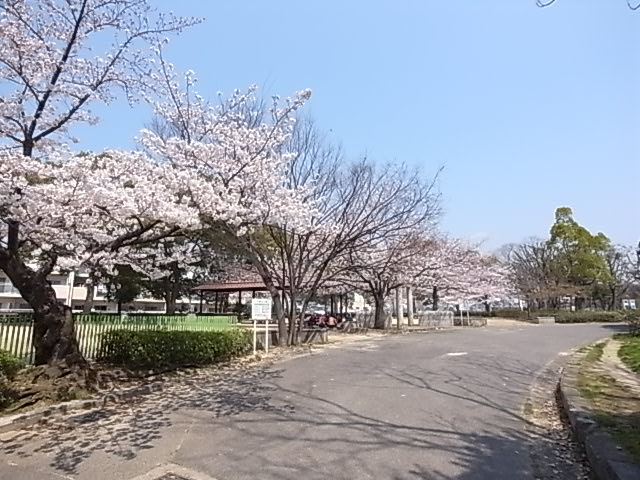 公園　大倉山公園（公園）まで532m