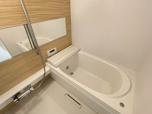 バス・シャワールーム　※同タイプの部屋写真です